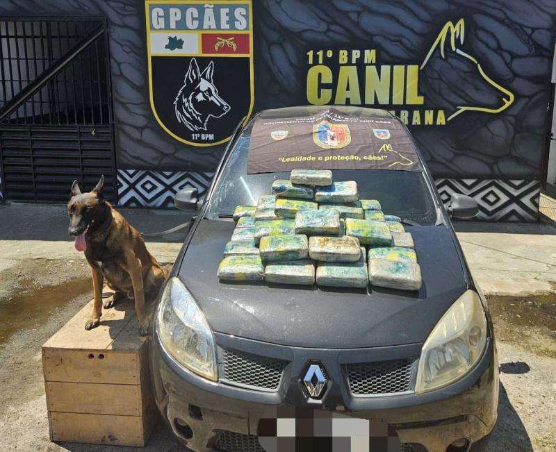 Em Parintins, Polícia Militar do Amazonas apreende 46 quilos de entorpecentes