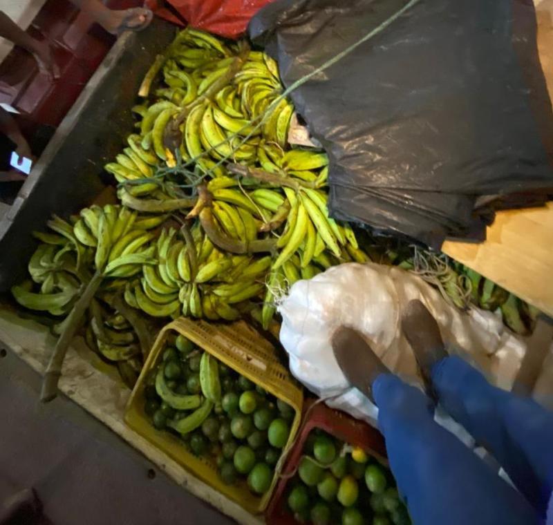 Adaf apreende mais de quatro toneladas de frutas com irregularidades escondidas em carregamento de madeira