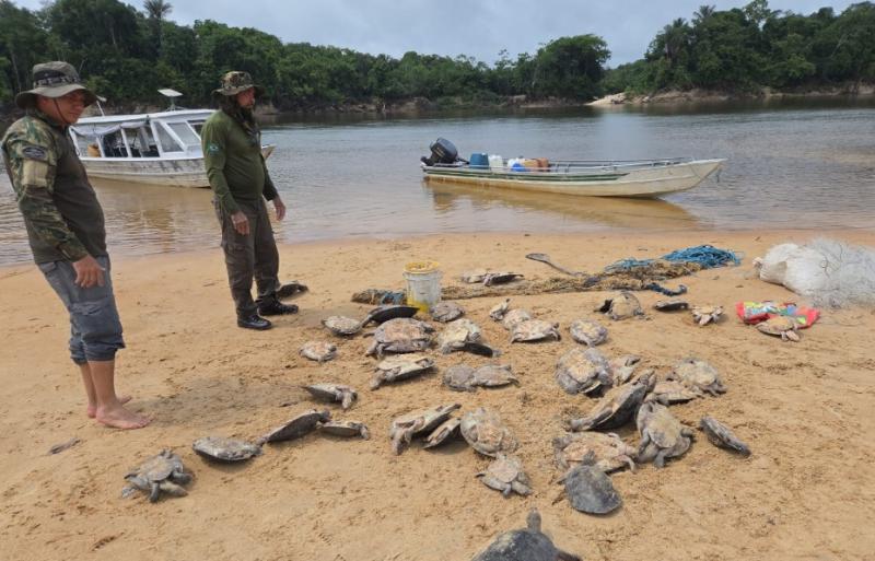 Ibama, ICMBio e Funai realizam operação de fiscalização ambiental em sete municípios do Amazonas