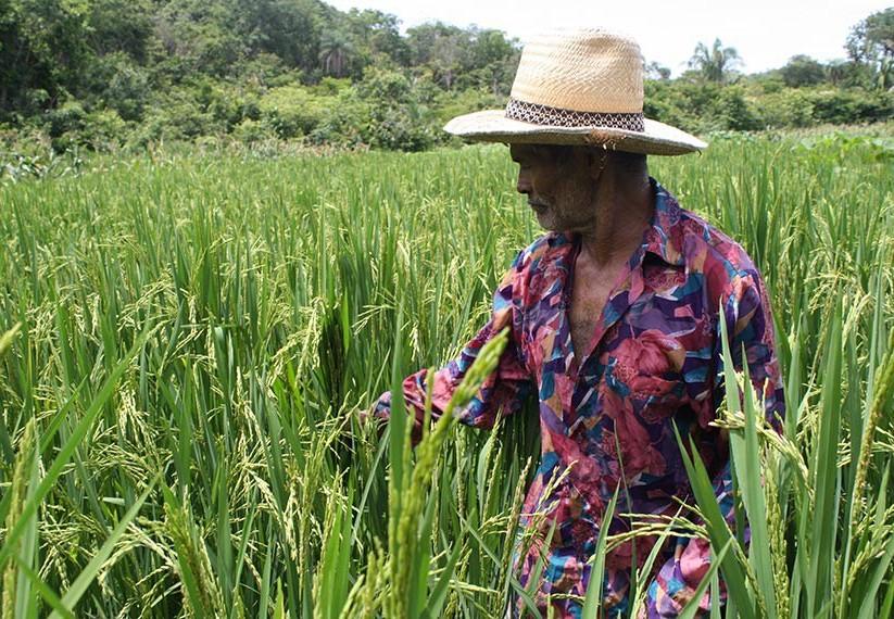 MP libera R$ 38 milhões para assistência técnica e extensão rural no Norte