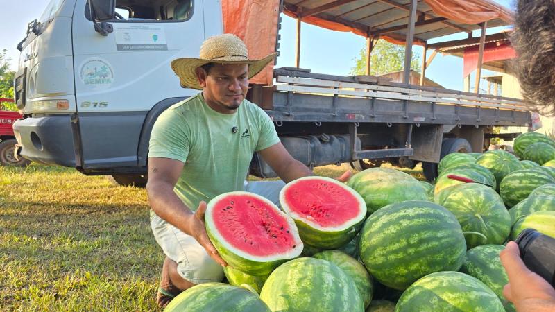 Prefeitura de Parintins destaca comercialização de melancia do Murituba no Mercado Zezito Assayag