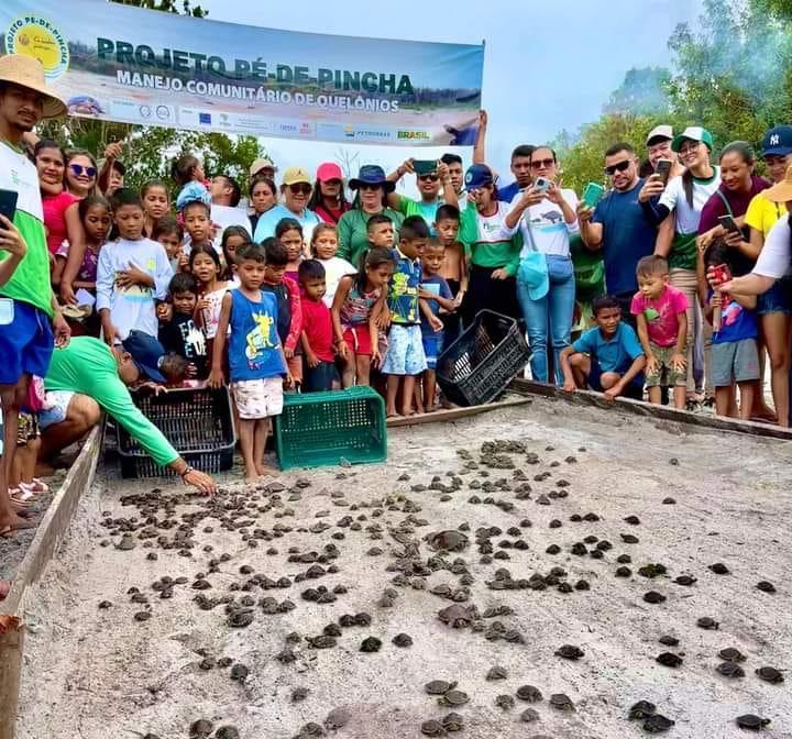 Projeto Pé-de-Pincha mobiliza comunidades rurais na preservação de quelônios
