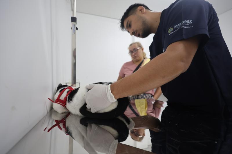 Hospital Público Veterinário do Amazonas garante atendimentos clínicos e de emergência no primeiro dia de funcionamento