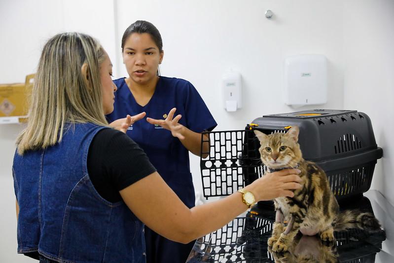 Hospital Público Veterinário do Amazonas segue com atendimentos clínicos e emergenciais Hospital Público Veterinário do Amazonas segue com atendimentos clínicos e emergenciais