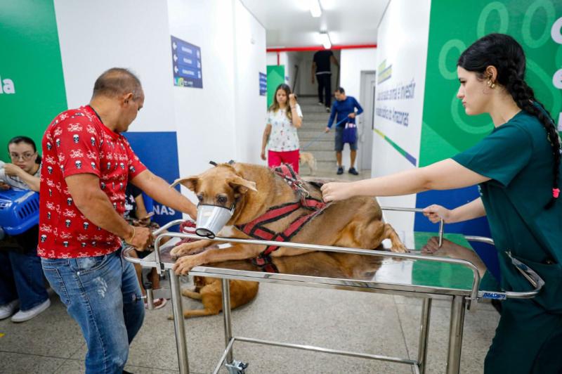 Governador Wilson Lima destaca mais de 3 mil procedimentos na primeira semana do Hospital Público Veterinário do Amazonas