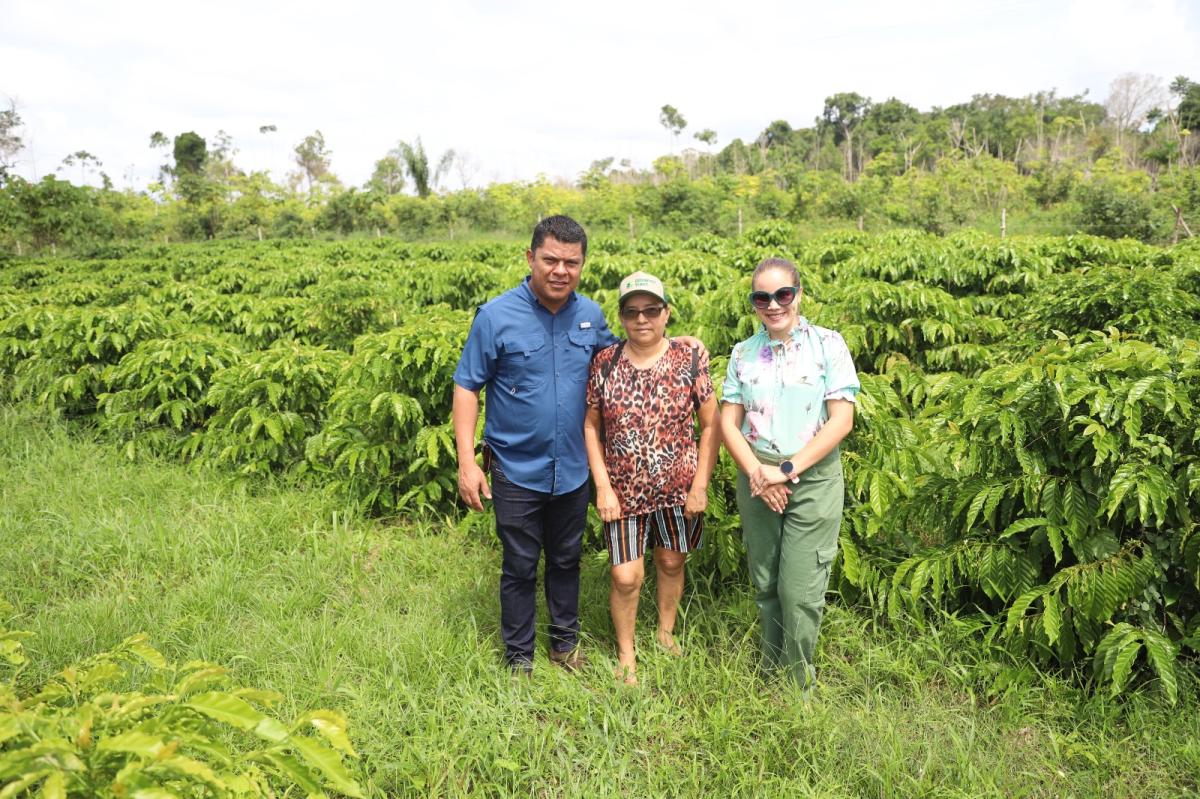 Dia da Agricultura: Sepror entregou mais de 350 mil mudas no Amazonas