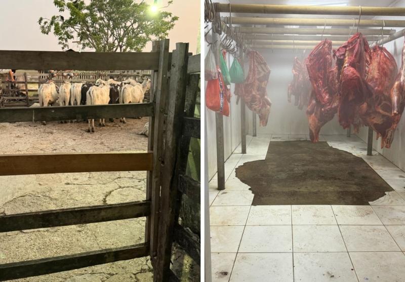 Ministério Público e Prefeitura de Nhamundá firmam acordo para regularização de abatedouro municipal Ministério Público e Prefeitura de Nhamundá firmam acordo para regularização de abatedouro municipal