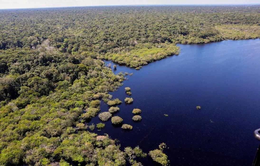 Amazônia e Cerrado registram queda de 11% no desmatamento Amazônia e Cerrado registram queda de 11% no desmatamento