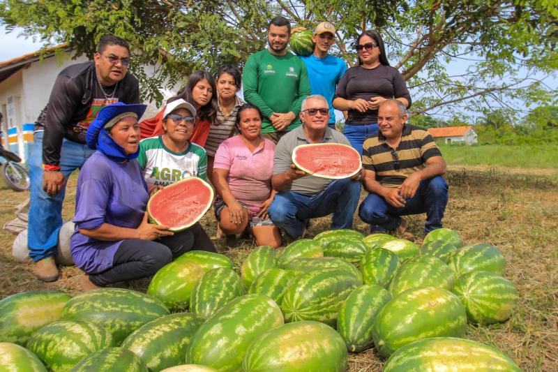 Mulheres da Vila Amazônia produzem melancia com incentivos da Prefeitura de Parintins Mulheres da Vila Amazônia produzem melancia com incentivos da Prefeitura de Parintins
