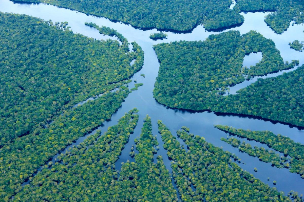 Amazonas tem a menor taxa de desmatamento desde 2017, aponta Prodes