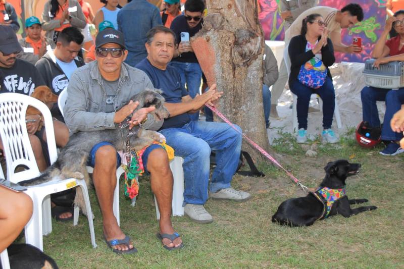 Prefeitura de Parintins inicia nova etapa do Mutirão de Castração Animal