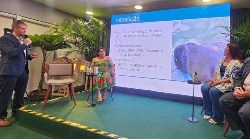 Ibama apresenta programa de conservação de peixes-boi na COP30