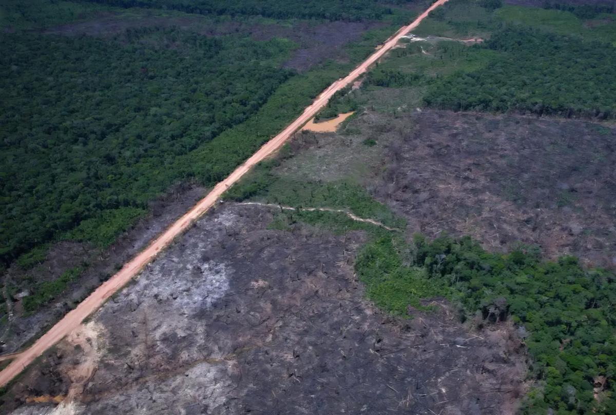 Vias ilegais perto da BR-319 avançam em áreas protegidas na Amazônia