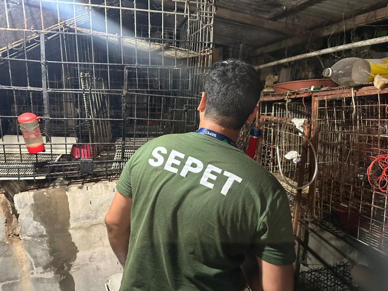Mais de 20 animais são resgatados de canil clandestino desarticulado pela Sepet-AM