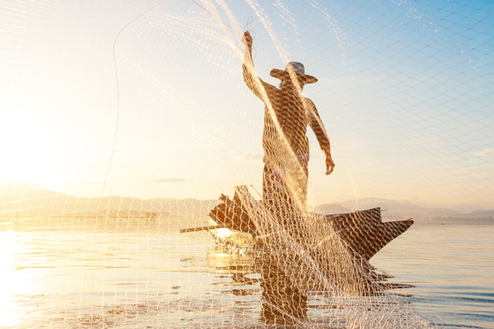 Novas regras garantem Seguro-Defeso de pescadores e pescadoras