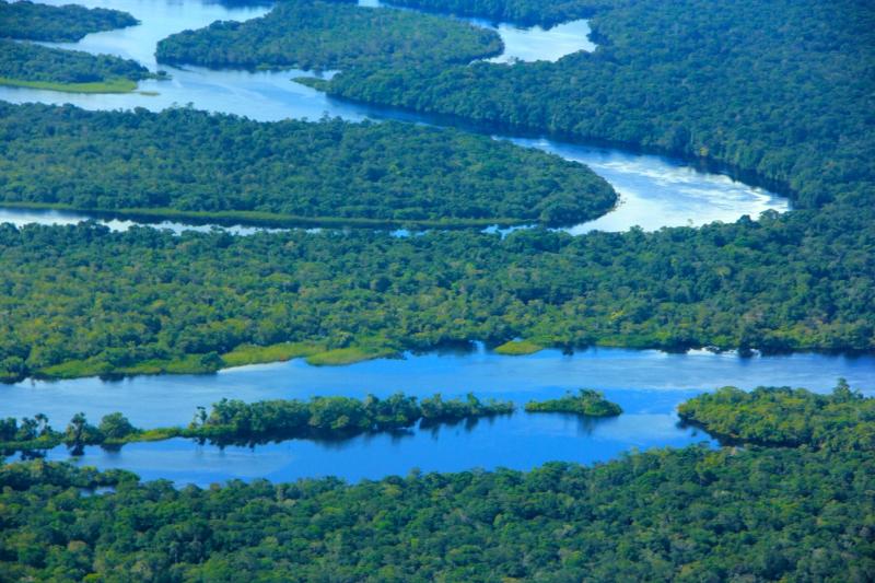 Governo do Amazonas registra em novembro o menor número de focos de calor desde 2021