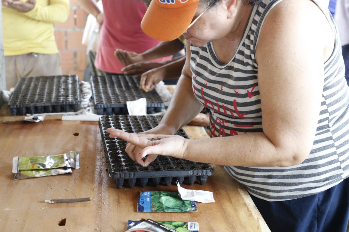 Sepror qualifica mais de 4 mil produtores rurais em 2025