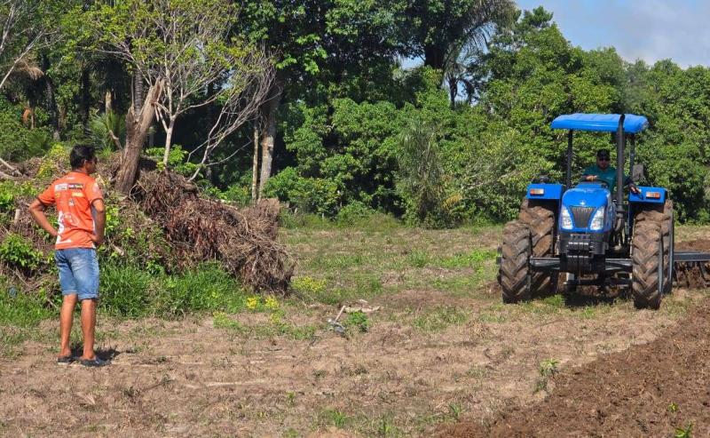Prefeitura de Parintins prepara novas áreas de pastagens para pecuária leiteira na Ilha Tupinambarana