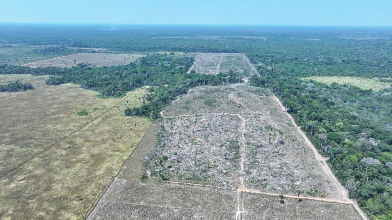 Ipaam aplica R$ 144,7 milhões em multas por crimes ambientais no sul do Amazonas