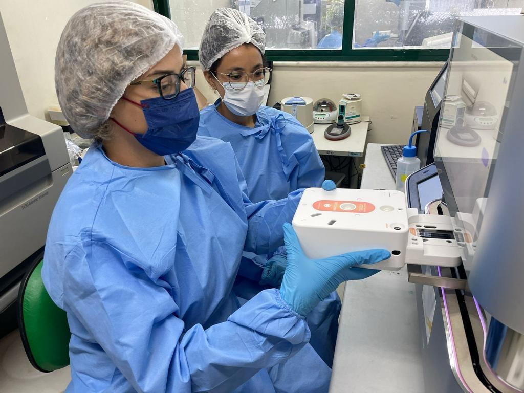 Surto de Oropouche na Amazônica Ocidental foi causado por maruim