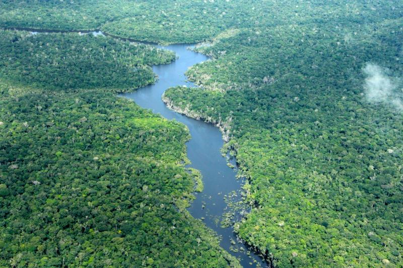 Balanço 2025: Amazonas tem menor número de alertas de desmatamento dos últimos oito anos
