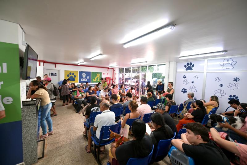 Em 100 dias de funcionamento, Hospital Público Veterinário do Amazonas já atendeu mais de 15 mil animais