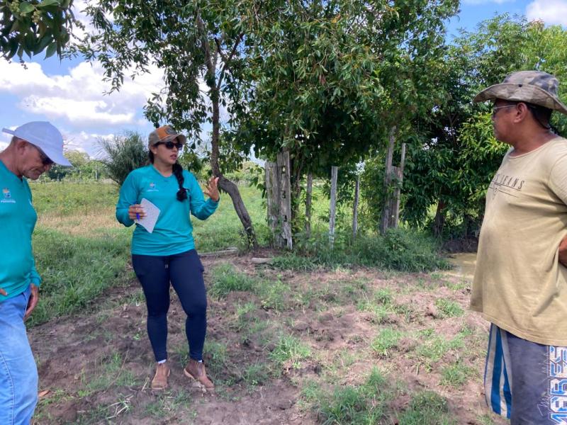 Mecanização da Prefeitura de Parintins vai preparar novo pasto em fazenda produtora de queijos bubalinos