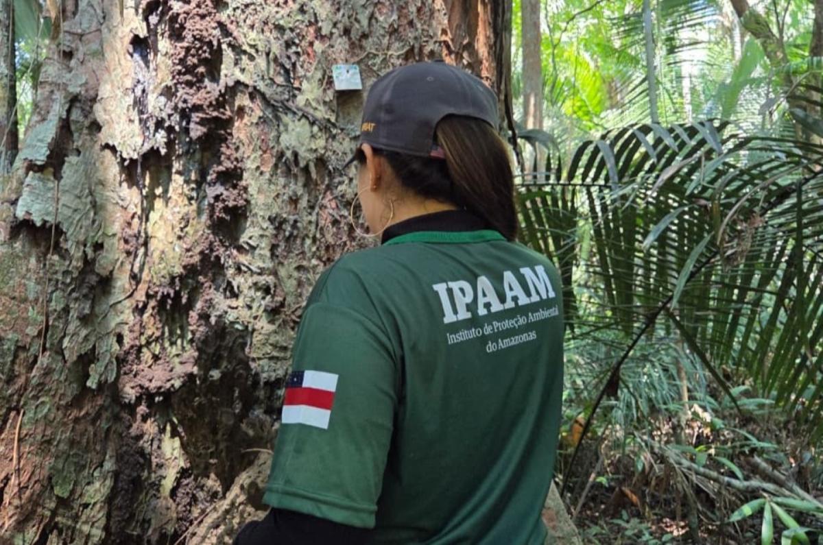 Período do Defeso Florestal inicia nesta quinta-feira no Amazonas