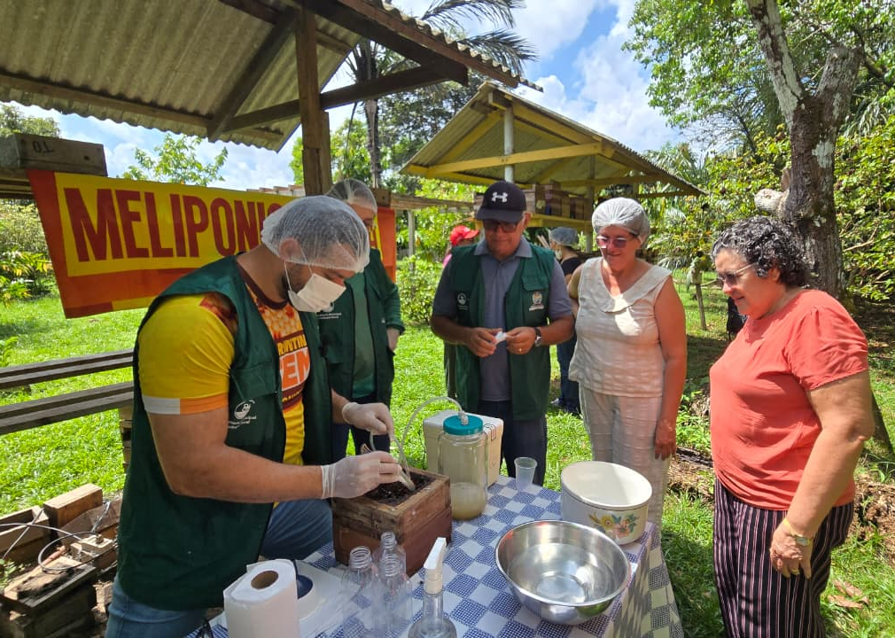 Parintins prepara encontro do Programa de Meliponicultura