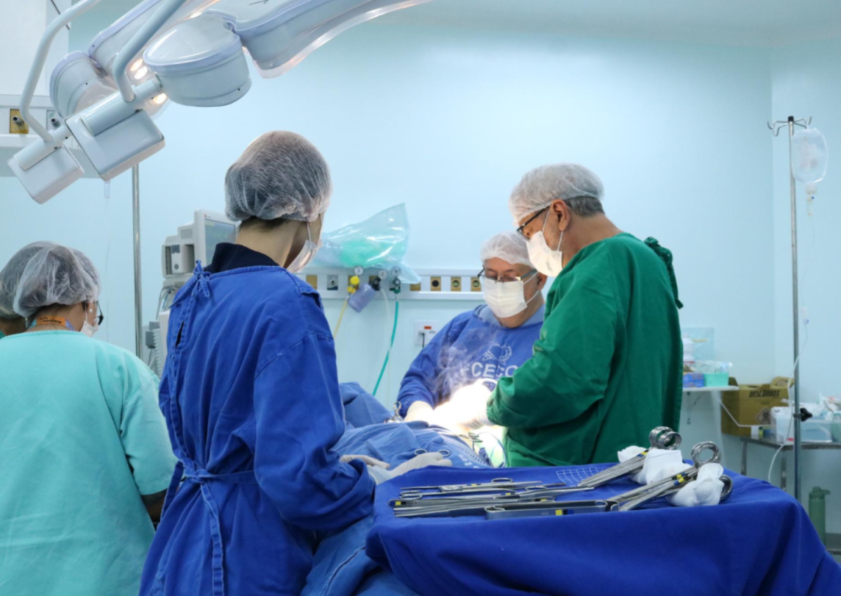 Cirurgias no abdômen e pelve foram as mais demandadas na FCecon