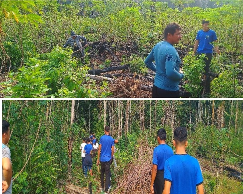 Em Barreirinha, projeto analisa a produção e herança cultural da farinha de mandioca