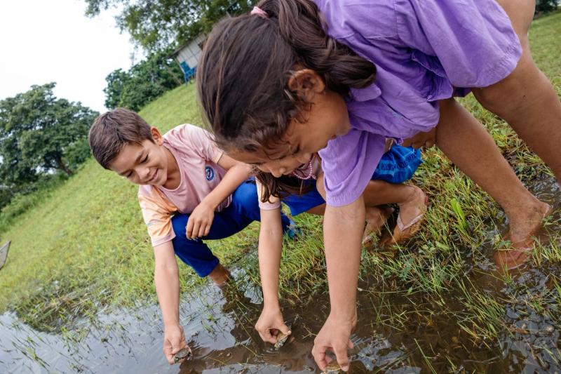 Soltura de quelônios marca ação socioeducativa na Escola Municipal Benedito Marinho