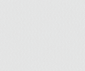 Banner Carnailha 2026