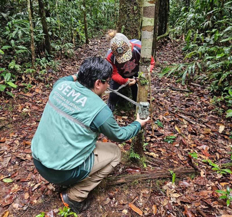 Sema instala câmeras trap em Unidades de Conservação da BR-319 para fortalecer monitoramento da fauna