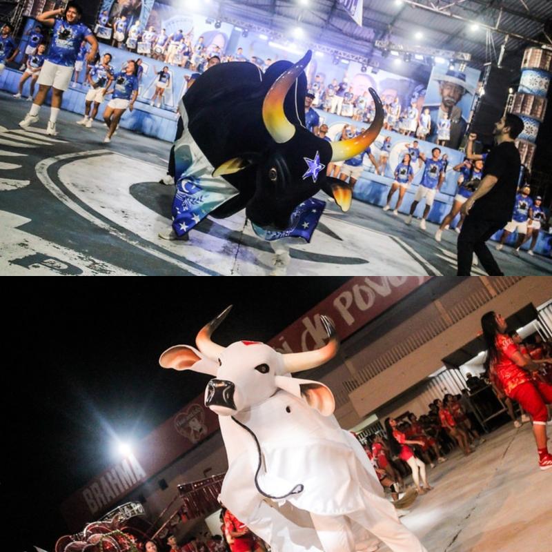 Lançamento Parintins 2026: Caprichoso e Garantido preparam grande espetáculo para abrir a nova temporada