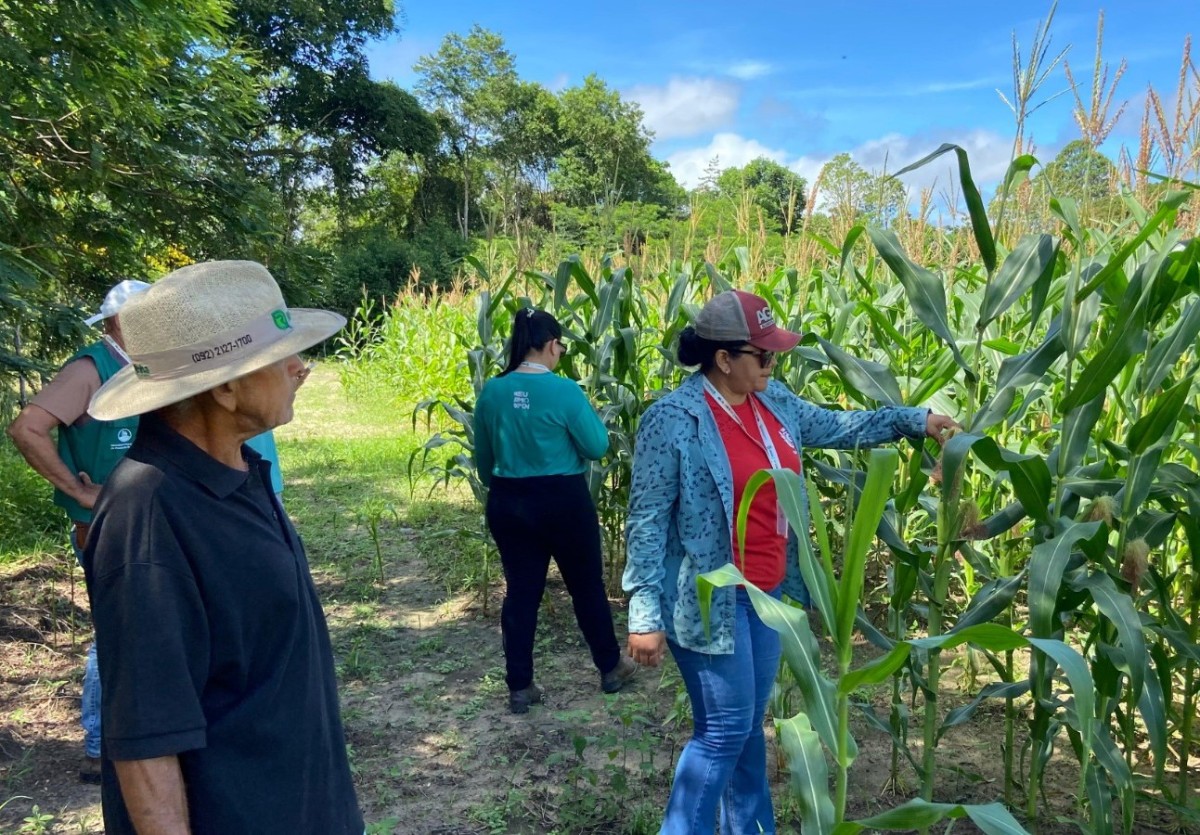 Prefeitura de Parintins dá assistência técnica ao produtor