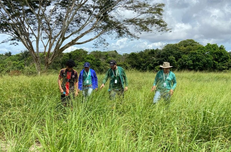 Prefeitura de Parintins investe em mecanização agrícola para ajudar produtores da zona rural