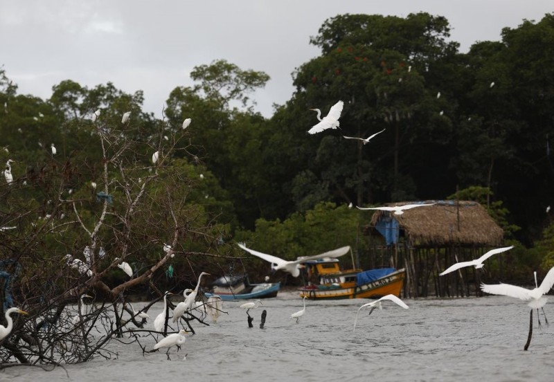 Amazônia Soberana: programa vai combater crimes em áreas de fronteira