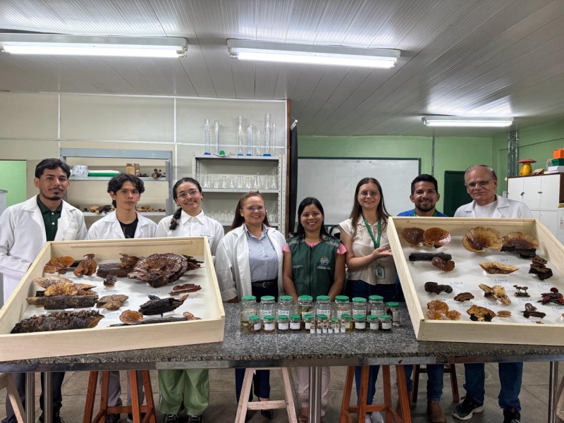 SEDEMA amplia acervo científico com coleção de fungos produzida pela UEA