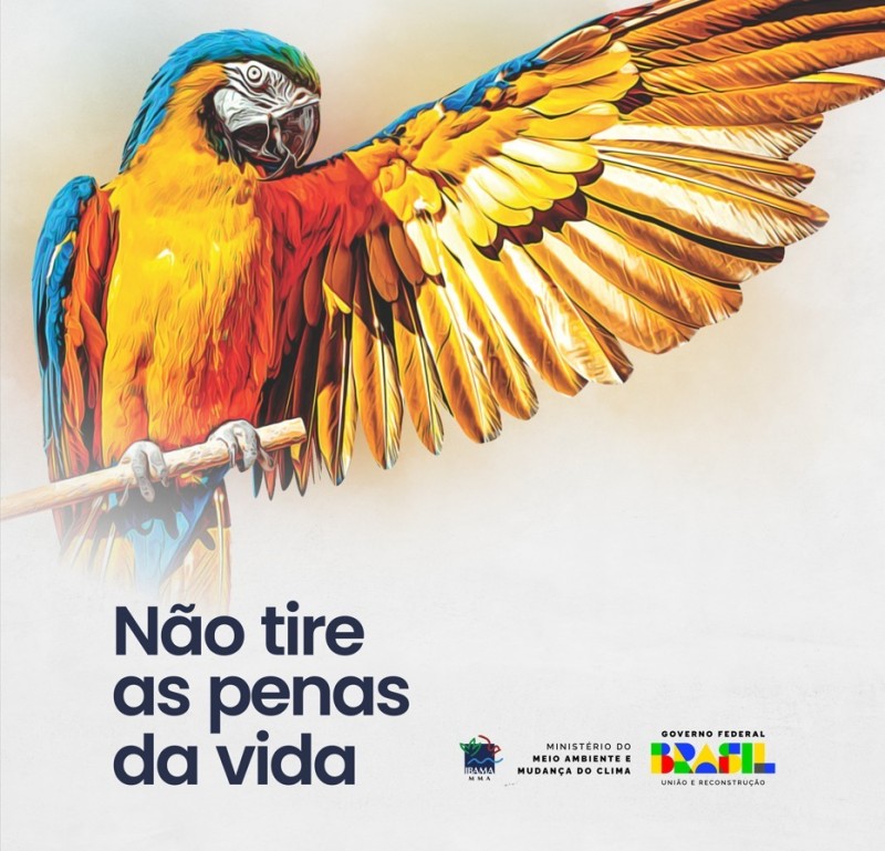 Ibama convida para palestra da campanha “Não Tire as Penas da Vida” em Manaus