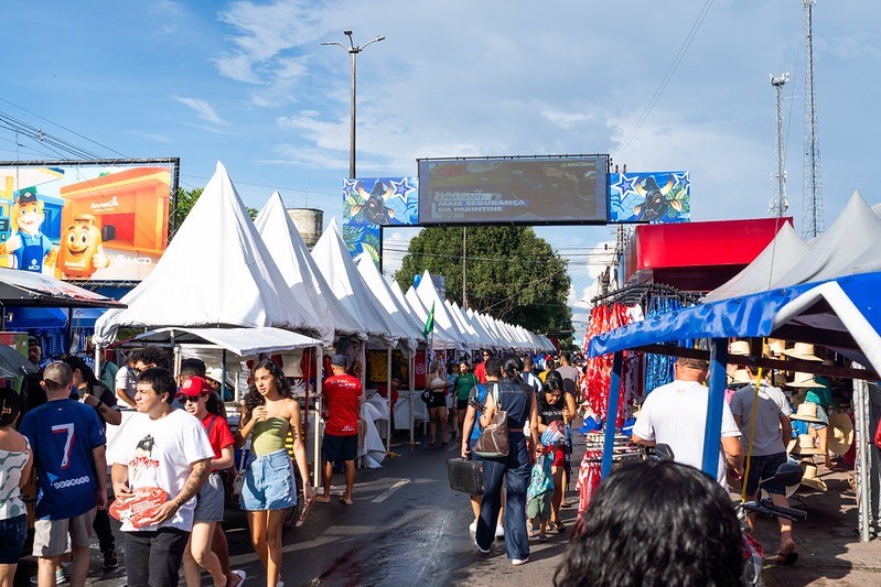 Pesquisa mapeia impacto econômico e social do Festival de Parintins