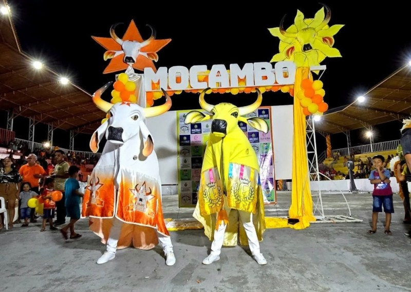 Festival do Mocambo exalta ancestralidade, fé e identidade cultural com os bois Touro Branco e Espalha Emoção
