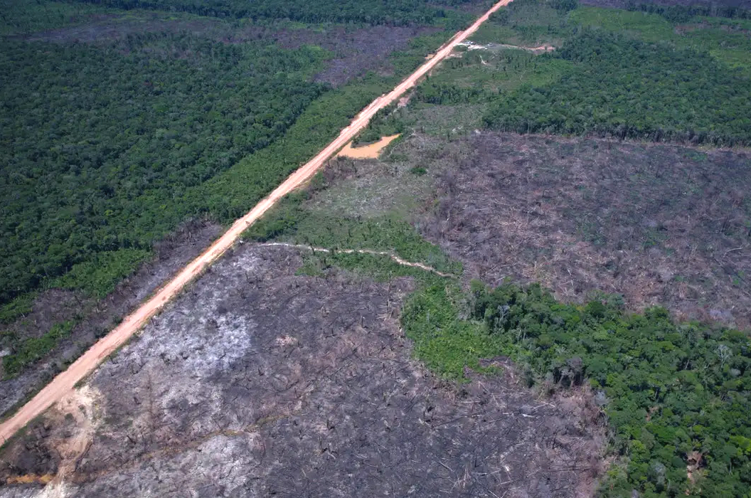 Desmatamento na Amazônia cai 36,87% no último ano