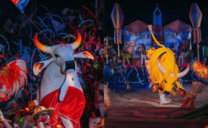 Festival do Mocambo encerra 21ª edição com disputa dos bumbás Espalha Emoção e Touro Branco