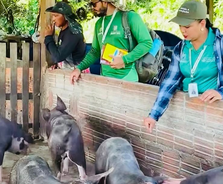 Desenvolvimento Sustentável: Prefeitura de Parintins promove Capacitação em Suinocultura no Mocambo