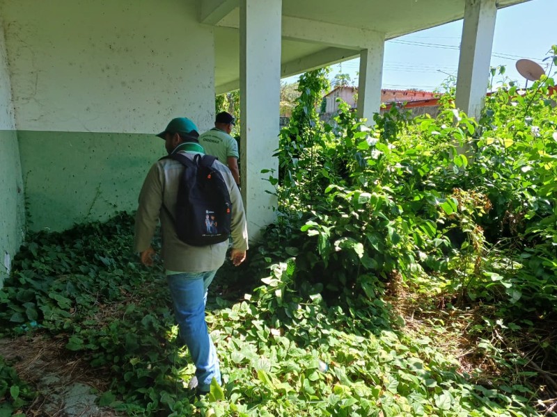 Abelhas africanas em imóvel abandonado próximo a escola mobilizam órgãos de segurança em Parintins