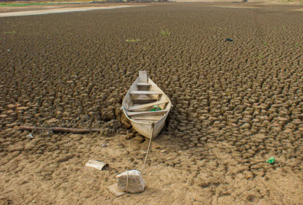 Brasil promete restaurar 163 mil km² de terras degradadas até 2030