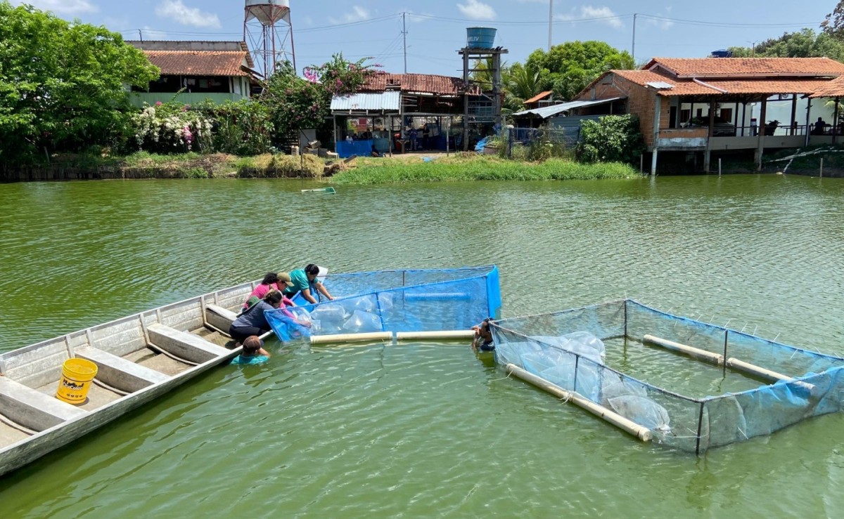 Prefeitura de Parintins acompanha produtor em empreendimento da piscicultura