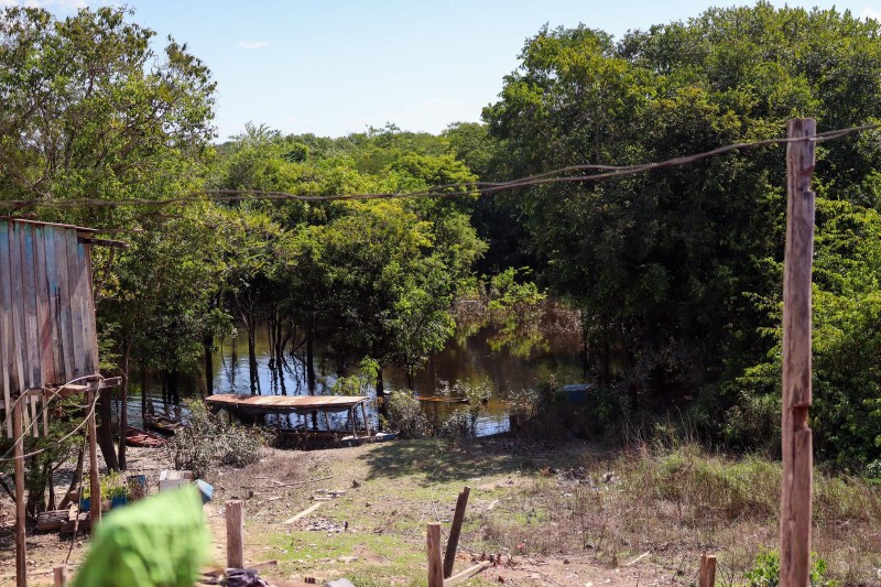 Dia da Amazônia: mudanças climáticas aumentam pressão sobre floresta e ameaçam populações da região