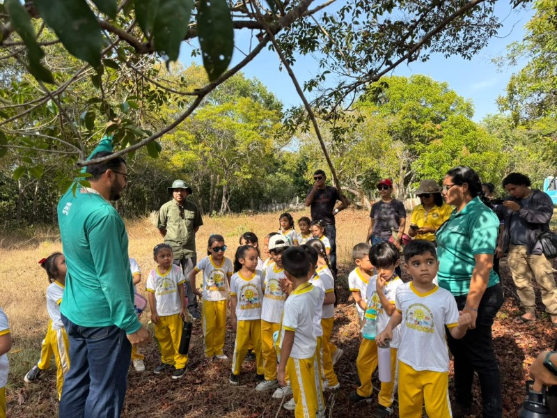 Parintins fortalece educação ambiental com atividade sobre abelhas sem ferrão para crianças
